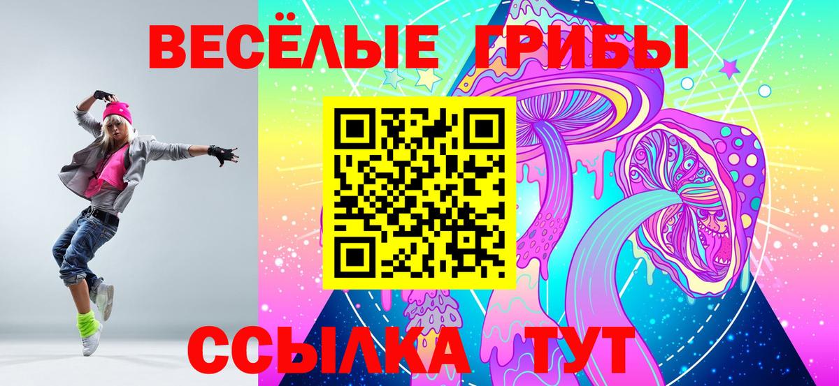 Балашиха  Галлюциногенные грибы Psilocybine cubensis  Псилоцибиновые грибы Psilocybe  купить  цена  Вход с VPN 